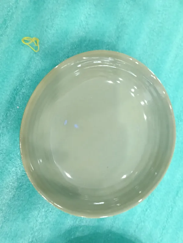 Sage Minimalist Artisan Quater plate